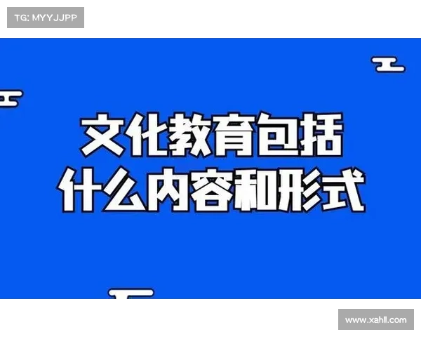 七大强力角色技能与特性深度解析全方位掌握战力核心 七大强力角色技能与特性深度解析全方位掌握战力核心