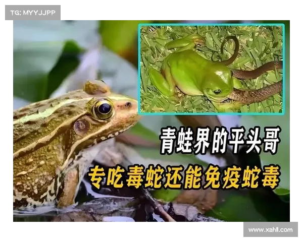 全面提升生存智慧从容应对危险避免那些令人哭笑不得的愚蠢死法