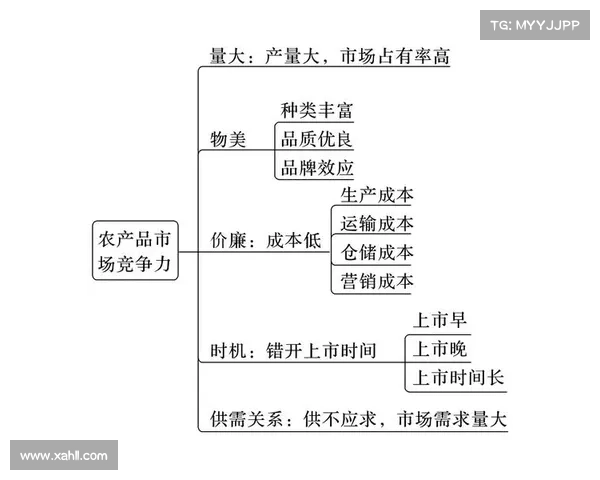 安联赞助商的独特优势与市场竞争力解析