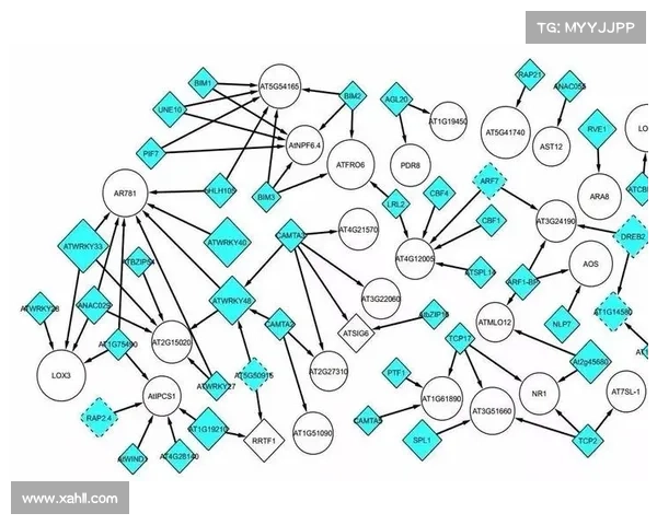 坎贝尔位置分析在战术选择中的最佳应用与实战策略解析