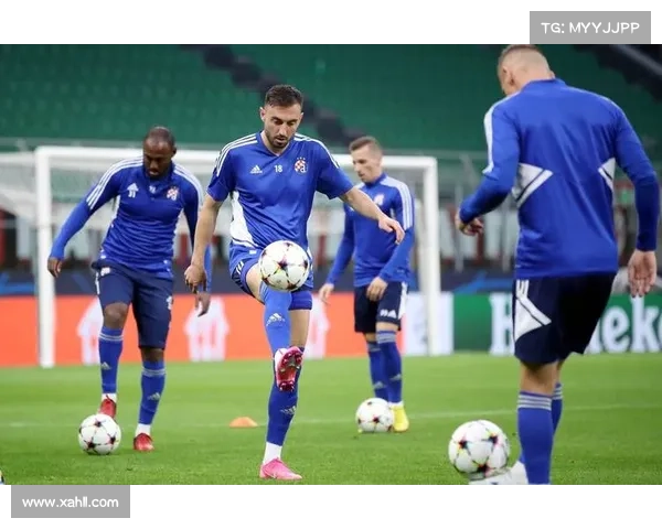 如何支持萨格勒布迪纳摩足球俱乐部并成为忠实球迷的几种方式